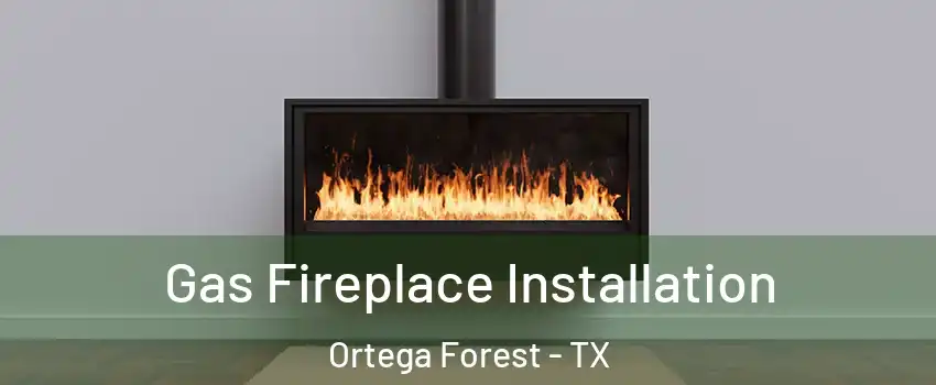 Gas Fireplace Installation Ortega Forest - TX
