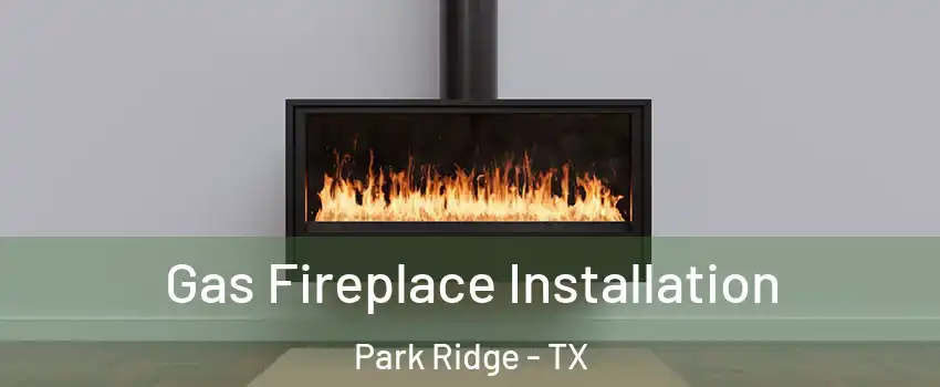 Gas Fireplace Installation Park Ridge - TX
