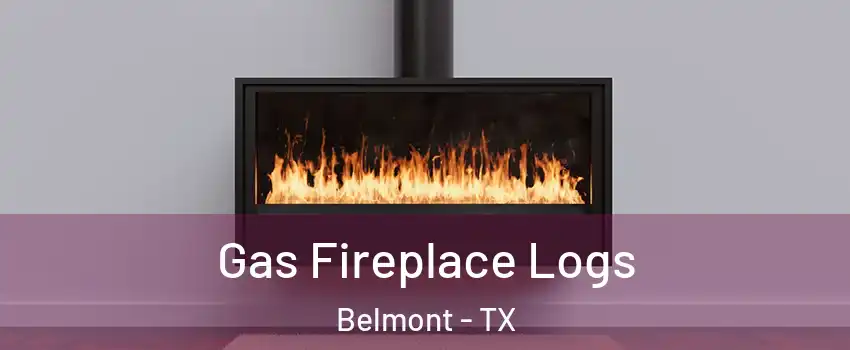 Gas Fireplace Logs Belmont - TX