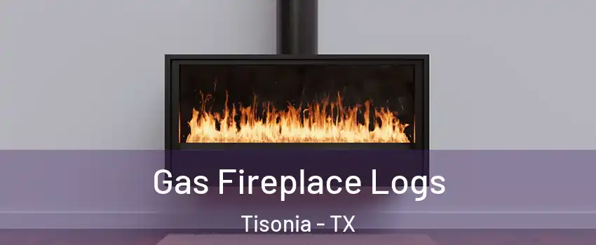 Gas Fireplace Logs Tisonia - TX