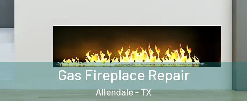 Gas Fireplace Repair Allendale - TX