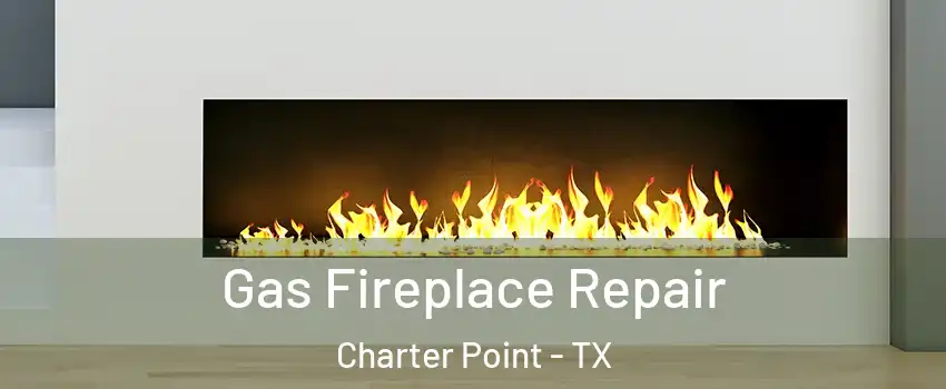 Gas Fireplace Repair Charter Point - TX