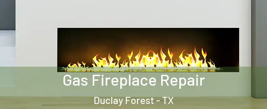 Gas Fireplace Repair Duclay Forest - TX