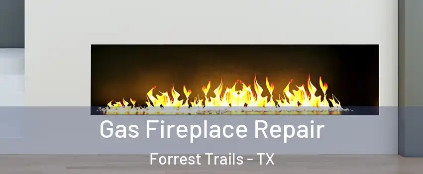 Gas Fireplace Repair Forrest Trails - TX
