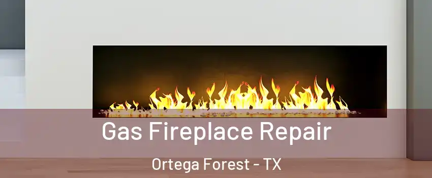 Gas Fireplace Repair Ortega Forest - TX