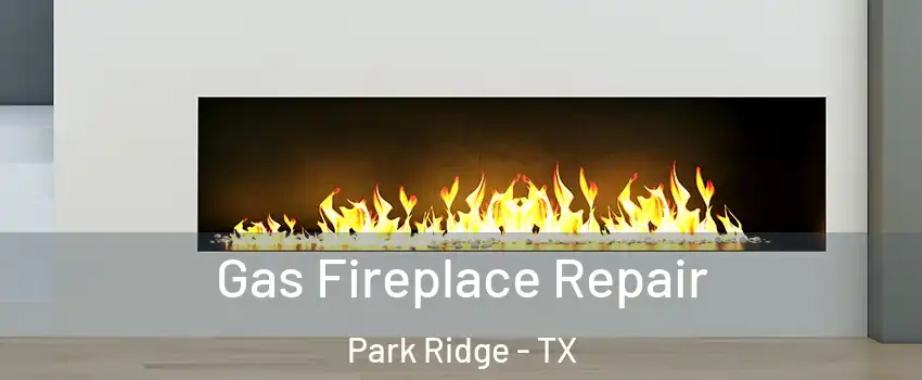 Gas Fireplace Repair Park Ridge - TX