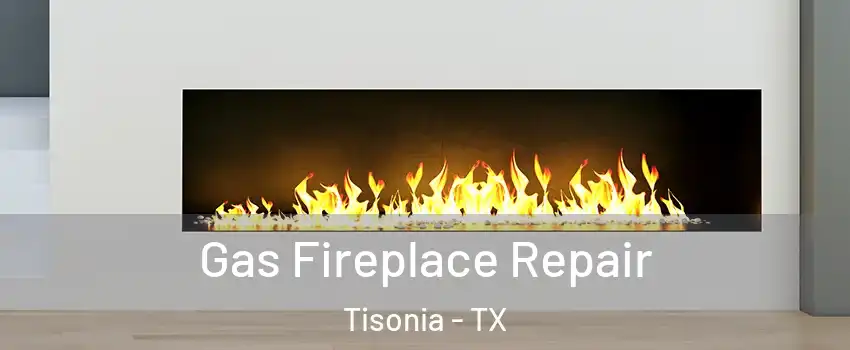 Gas Fireplace Repair Tisonia - TX