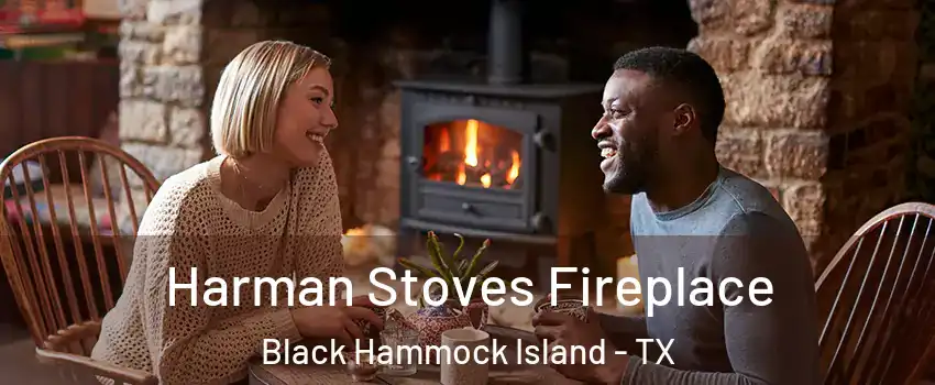 Harman Stoves Fireplace Black Hammock Island - TX