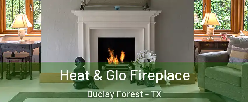Heat & Glo Fireplace Duclay Forest - TX