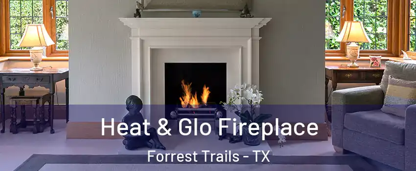 Heat & Glo Fireplace Forrest Trails - TX
