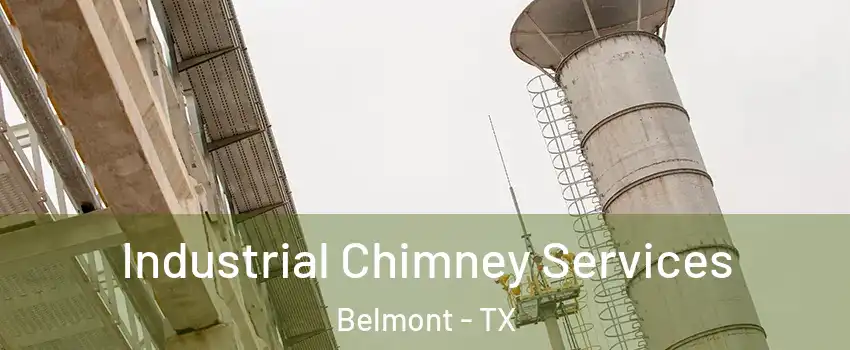 Industrial Chimney Services Belmont - TX