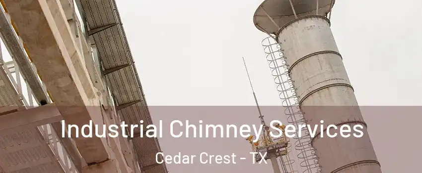 Industrial Chimney Services Cedar Crest - TX