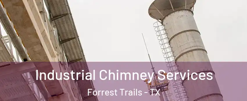 Industrial Chimney Services Forrest Trails - TX