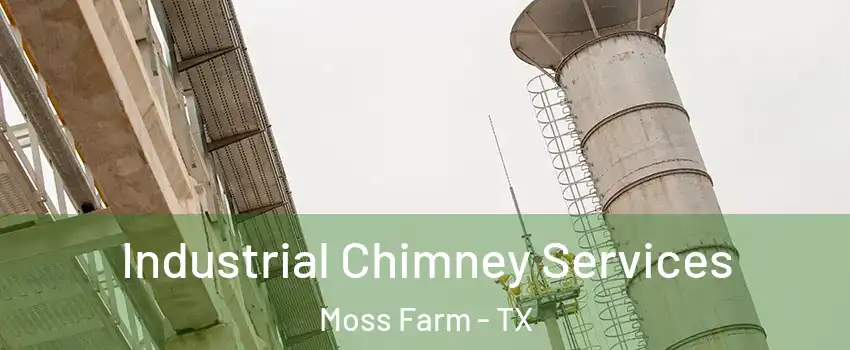 Industrial Chimney Services Moss Farm - TX