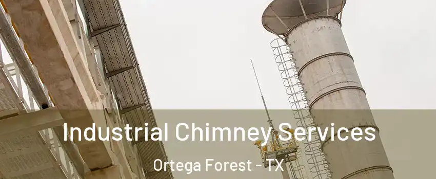 Industrial Chimney Services Ortega Forest - TX