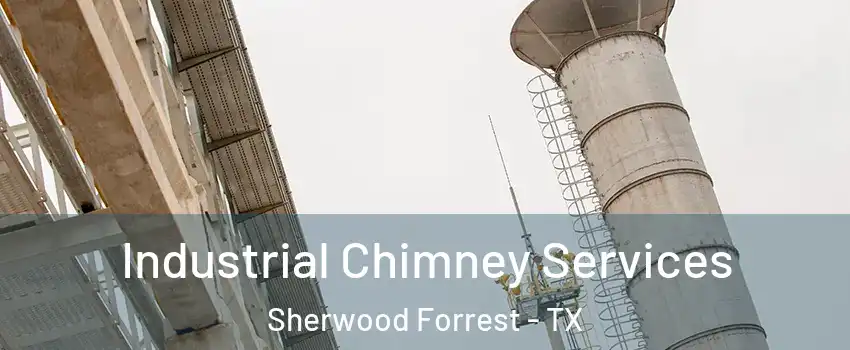 Industrial Chimney Services Sherwood Forrest - TX