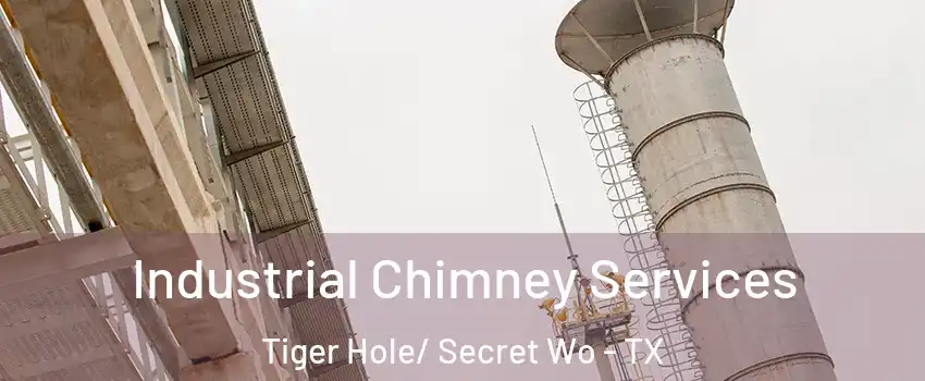 Industrial Chimney Services Tiger Hole/ Secret Wo - TX