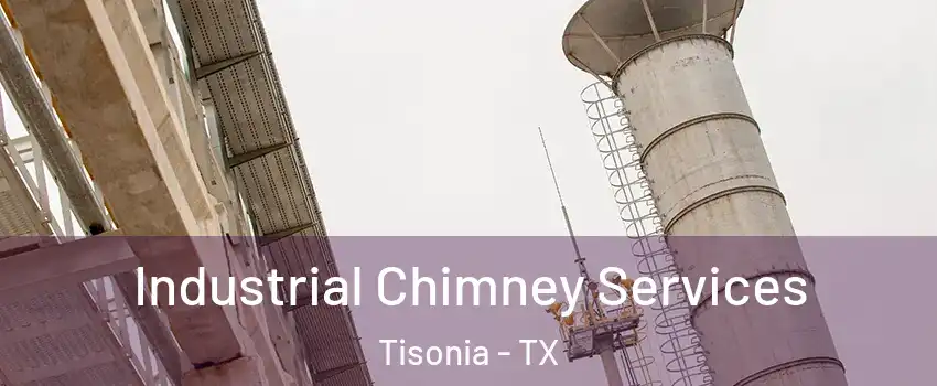 Industrial Chimney Services Tisonia - TX