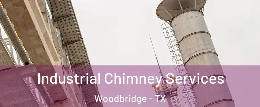 Industrial Chimney Services Woodbridge - TX