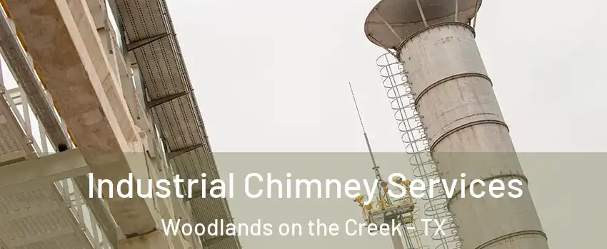 Industrial Chimney Services Woodlands on the Creek - TX