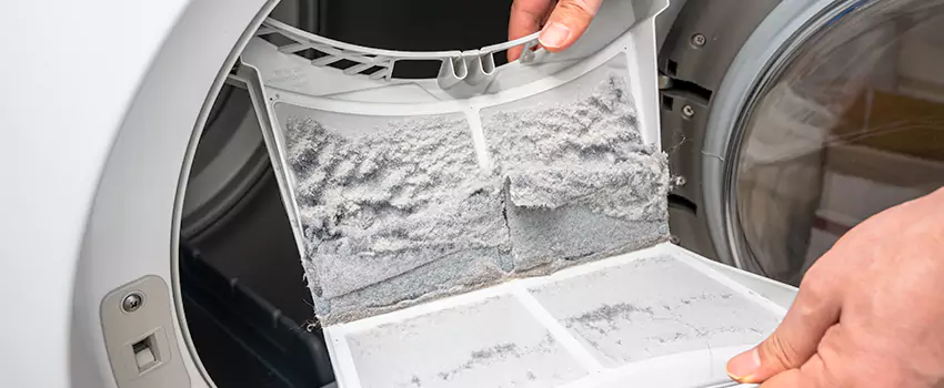 Best Dryer Lint Removal Company in Downtown Dallas, Texas