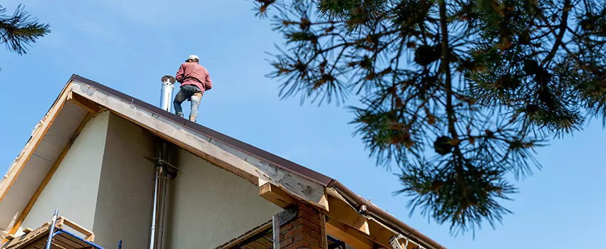 Birds Removal Contractors from Chimney in Downtown Dallas, TX