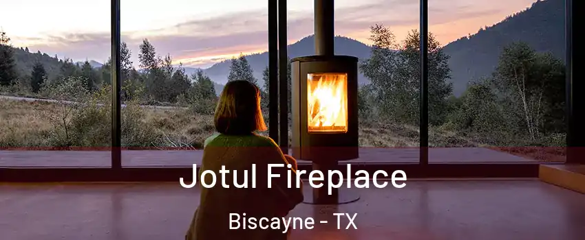 Jotul Fireplace Biscayne - TX
