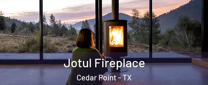 Jotul Fireplace Cedar Point - TX