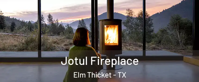 Jotul Fireplace Elm Thicket - TX