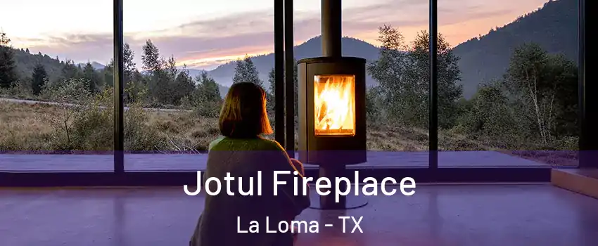 Jotul Fireplace La Loma - TX