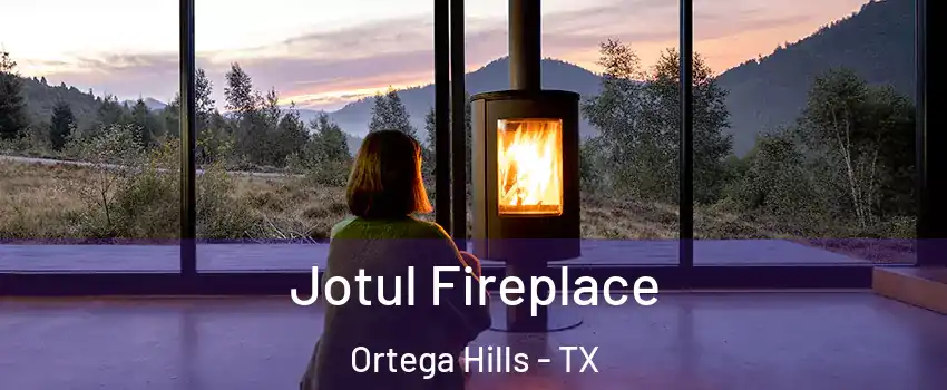Jotul Fireplace Ortega Hills - TX