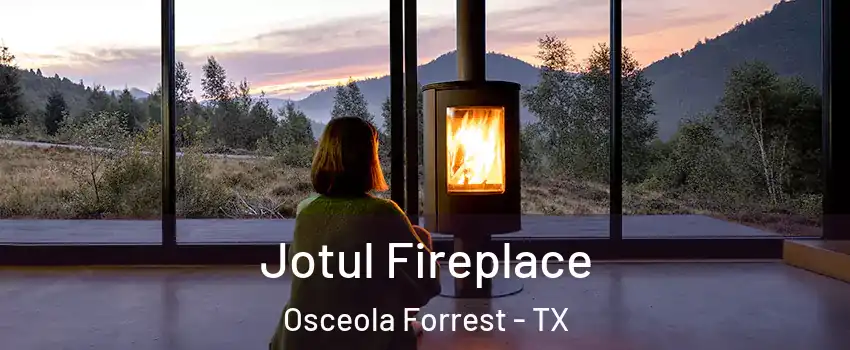 Jotul Fireplace Osceola Forrest - TX