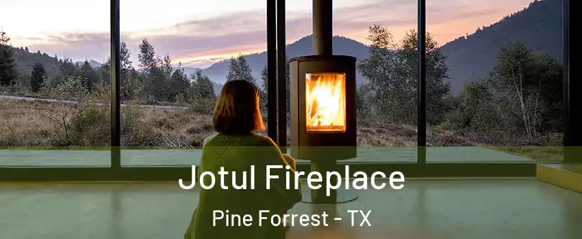 Jotul Fireplace Pine Forrest - TX
