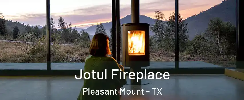 Jotul Fireplace Pleasant Mount - TX