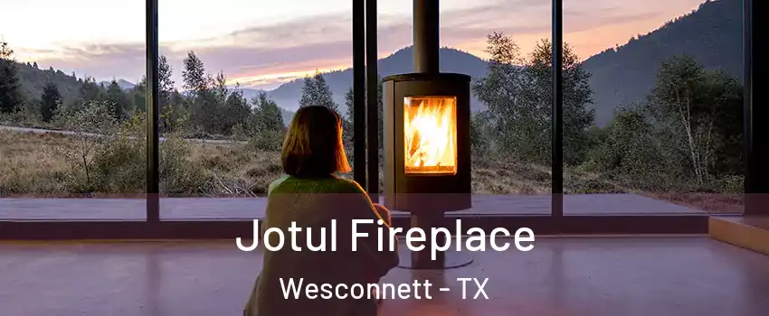 Jotul Fireplace Wesconnett - TX