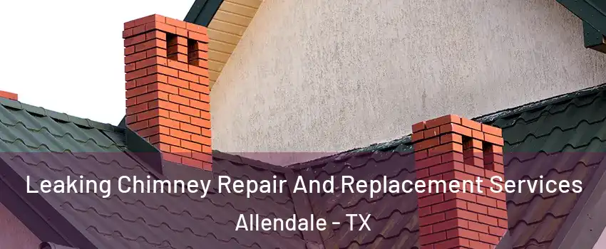 Leaking Chimney Repair And Replacement Services Allendale - TX