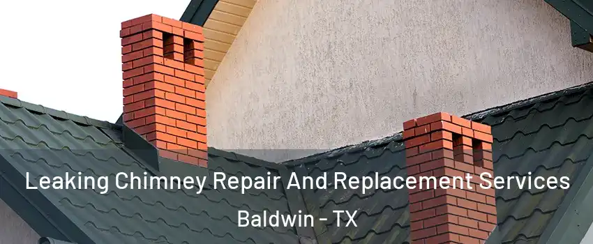 Leaking Chimney Repair And Replacement Services Baldwin - TX