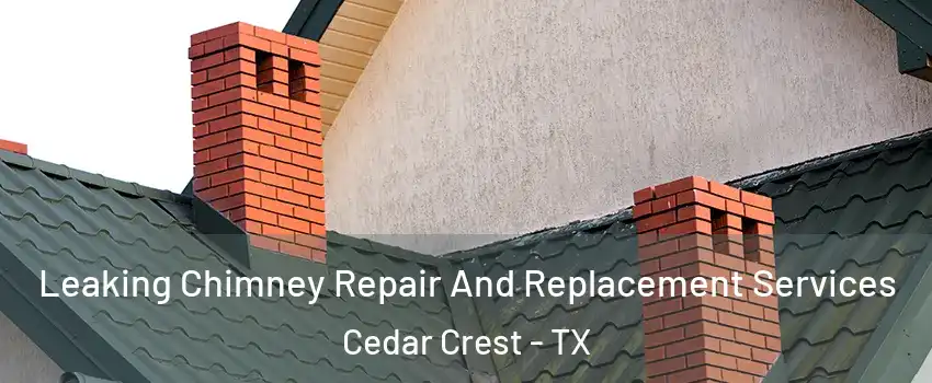 Leaking Chimney Repair And Replacement Services Cedar Crest - TX