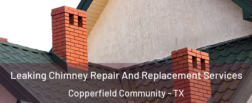 Leaking Chimney Repair And Replacement Services Copperfield Community - TX