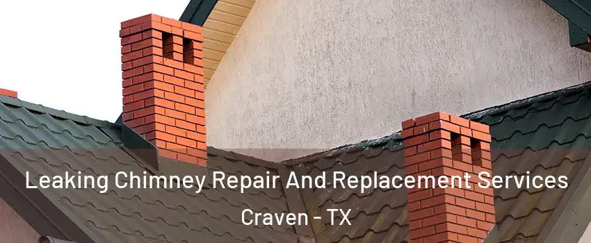Leaking Chimney Repair And Replacement Services Craven - TX