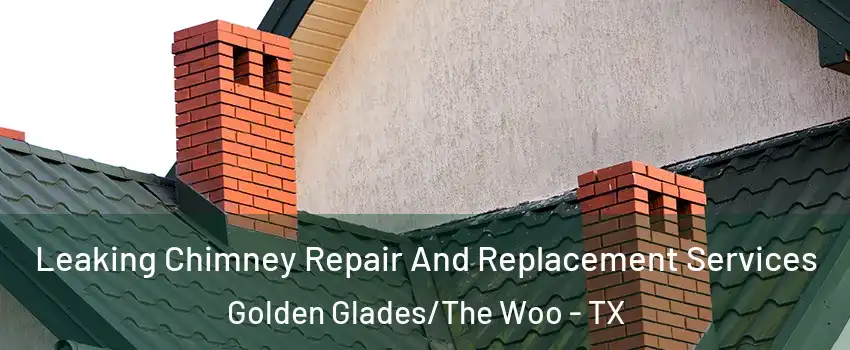 Leaking Chimney Repair And Replacement Services Golden Glades/The Woo - TX