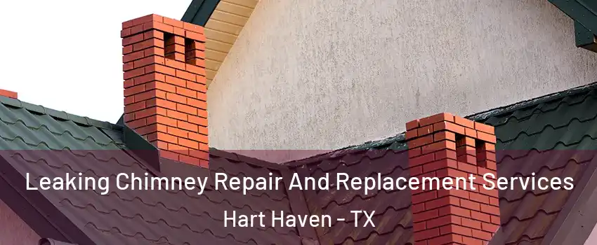 Leaking Chimney Repair And Replacement Services Hart Haven - TX