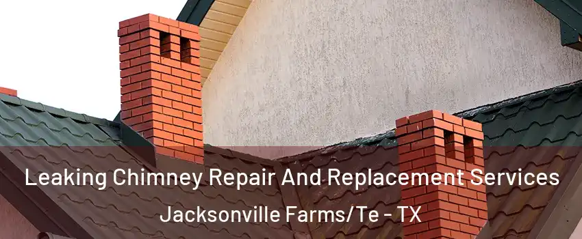 Leaking Chimney Repair And Replacement Services Jacksonville Farms/Te - TX