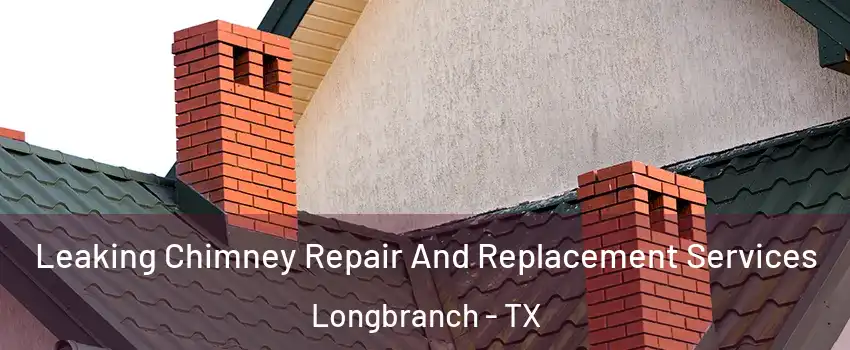 Leaking Chimney Repair And Replacement Services Longbranch - TX