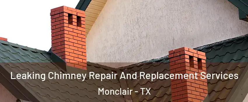 Leaking Chimney Repair And Replacement Services Monclair - TX