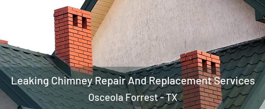 Leaking Chimney Repair And Replacement Services Osceola Forrest - TX