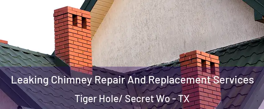 Leaking Chimney Repair And Replacement Services Tiger Hole/ Secret Wo - TX