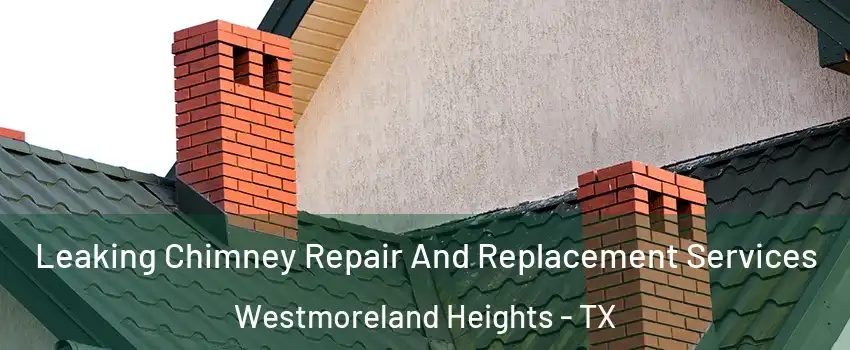 Leaking Chimney Repair And Replacement Services Westmoreland Heights - TX