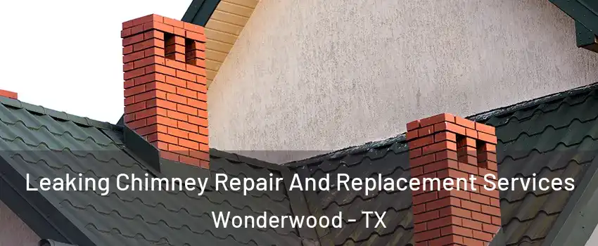 Leaking Chimney Repair And Replacement Services Wonderwood - TX
