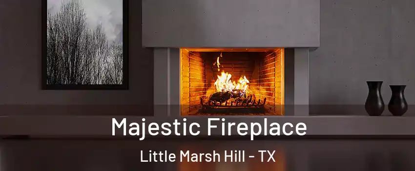 Majestic Fireplace Little Marsh Hill - TX